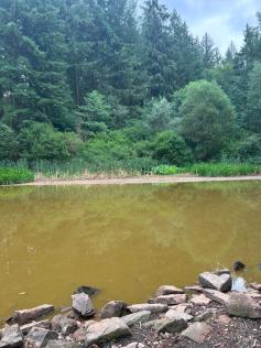 Wasserknappheit am Reihersee - Hitzesommer 2026