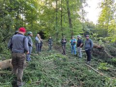 Gemeinderat Waldbegang 2025