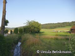 Hochwassserschutz Neckarkatzenbach - Krebsbach