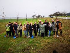 Baumpflanzung der Brautpaare 2025