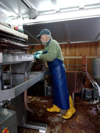 Winfried Braun an der mobilen Kelteranlage