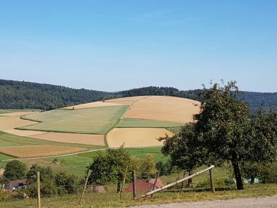 Geotop des Jahres 2018 - Der Mittelberg