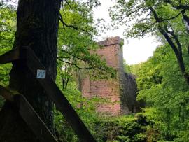 Burgruine Stolzeneck